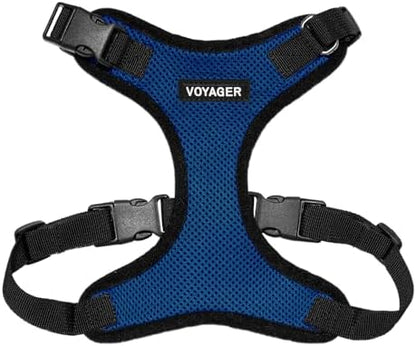 Voyager Step-in Lock Dog Harness - Royal Blue/Black Trim, Small