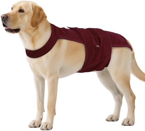 QBLEEV Female Dog Diapers with Adjustable Suspenders – Washable Sanitary Panties for Dogs in Heat or Incontinence, Escape-Proof Reusable Pet Period Underwear Onesie for Small to Large Breeds