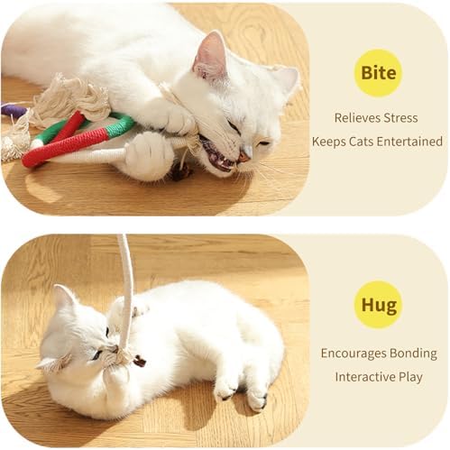 Cat Chew Toys (3-Pack) - 27.5 Inch Refillable Catnip Rope Toys for Indoor Cats & Kittens, Safe Dental Cleaning & Interactive Toy - Natural Kitty Toys for All Breeds