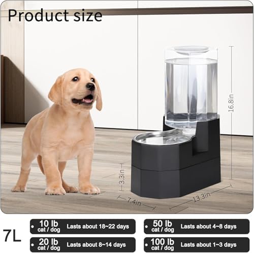 Sfozstra 7L Raised Dog Water Dispenser: Comfortable Drinking