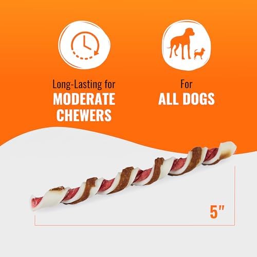 GOOD 'N' FUN Twists Long-Lasting Dog Treat with Real Bully, 6 Count
