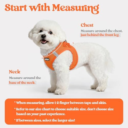 rabbitgoo Dog Harness Medium Sized and Leash Set, Step-in Puppy Pet Vest