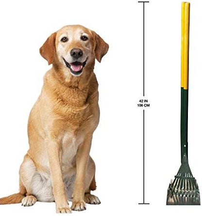Four Paws Dog Rake & Scooper Set for Pet Waste Pick-Up, Small, 2 Count