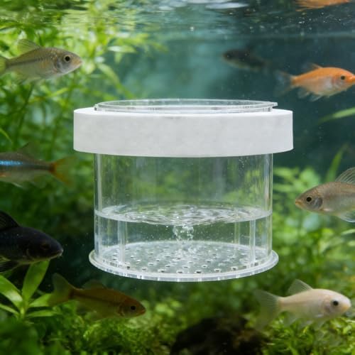 Ipetboom Floating Aquarium Breeding Box with Lid Fish Tank Separate Box for Guppy Fry Small Fish and Baby Transparent Nursery Isolation Container for Tank Separation and Breeding