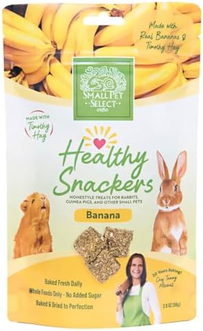 Small Pet Select Healthy Snacker Banana (2 Pack), Treats for Rabbit, Guinea Pig, Bunny, Other Small Pets, Made with Real Fruit, Veggies, and Timothy Hay, 4oz