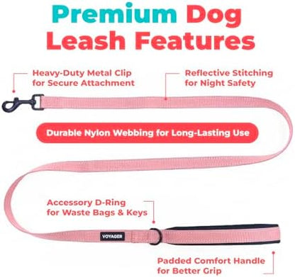 Best Pet Supplies Voyager Nylon Dog Leash - Pink, Small