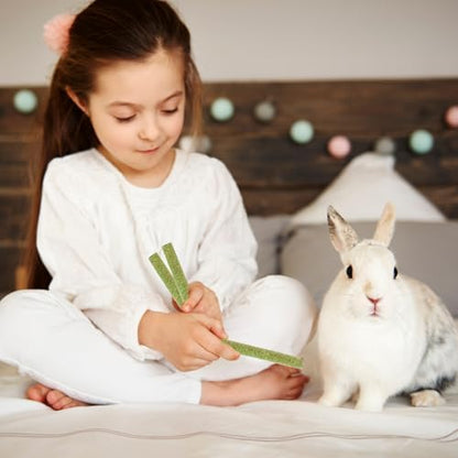 WDEFUN 45 PCS Timothy Hay Sticks for Rabbits Natural Molar Teeth Stick Chew Toys for Bunnies Chinchillas Guinea Pigs Hamsters and Other Small Animals Treats