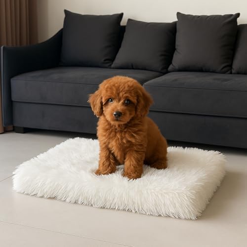 Faux Fur Orthopedic Rectangular Dog Bed, Memory Foam, White Medium 35"x23"