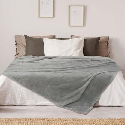 DEZ FURNISHINGS Ultra Soft Plush Fleece Throw Blanket, Double Sided Cozy Thick Warm Blanket for Sofa & Bed, Twin (66" x 90"), Light Gray