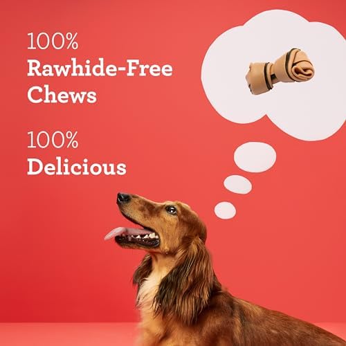 DreamBone Dental Mini Bones Rawhide-Free Dog Treats, 24 Count