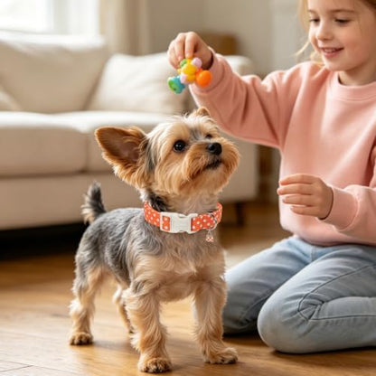 DOGWONG Fall Orange Polka Dog Collar, Cute Polka Dots Dog Collar,Girl Female Dogs Collars for Medium Lrage Dogs, Neck 15.3-23.6 inches