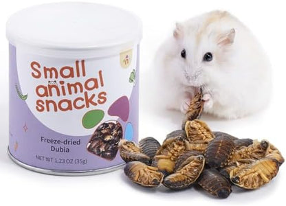 Niteangel Hamster Snack & Treats Toy: Freeze-Dried Dubia & No Additive