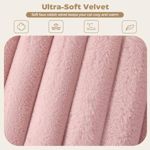 Avont Cat Bed for Indoor Cats, Fluffy Washable with Raised Rim