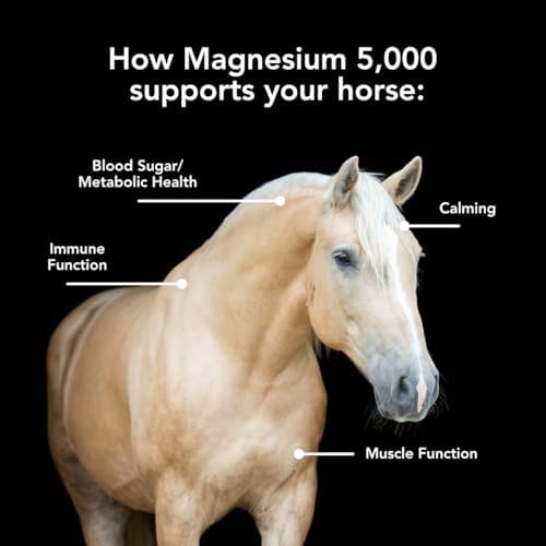 Magnesium 5000 (10lb) for Horses