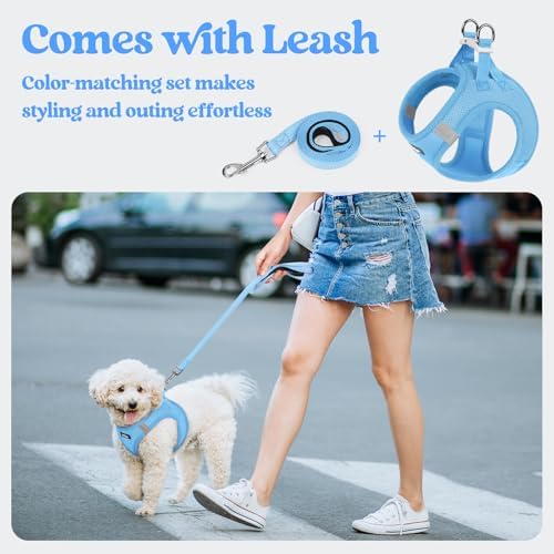 rabbitgoo Dog Harness Small Sized and Leash Set, Step-in Puppy Pet Vest