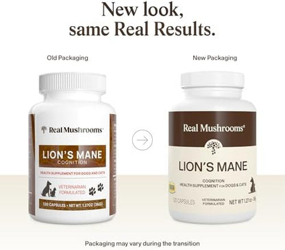 Real Mushrooms Lion's Mane Supplement for Cats and Dogs, 120ct
