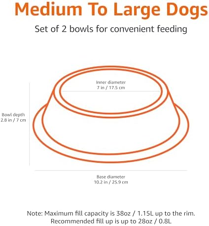 Amazon Basics Stainless Steel Non-Skid Dog Water And Food Bowls, Dishwasher Safe, Rust Resistant, 38oz Capacity, 10 x 2.8 Inches, 2-Pack