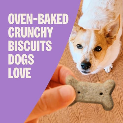 Wellness Old Mother Hubbard Classic Just Vegg'n Dog Biscuits, Natural Training Treats, Sweet Potato, Oats, Apple and Carrot Flavor, Small Size, 3.3 lb Bag