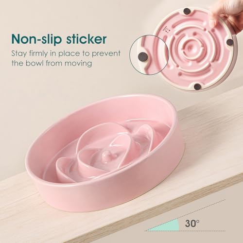 vancasso Ceramic Slow Feeder Dog Bowl, 0.6 Cup Puzzle Dish for Small Breeds