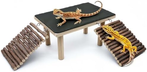 Bearded Dragon Basking Platform with Climbing Ramp,Reptile Basking Rock,M