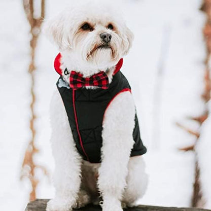 Gooby Sports Vest Dog Jacket, Black, Small