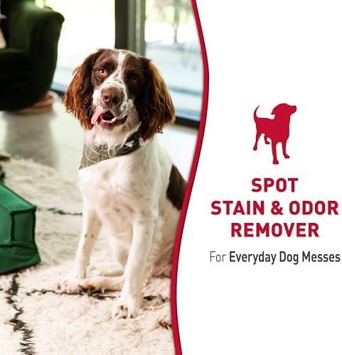 Nature’s Miracle Dog Stain & Odor Remover, Enzymatic Cleaner, 32 oz
