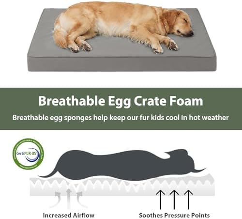 WNPETHOME Outdoor Waterproof Dog Bed Large Sized, Washable Creat Pad 47"