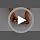 Hamster Toys, Flexible Hamster Wooden Bridge Door Fence Hamster Chew Toys Decor Standing Climbing for Gerbil Chinchilla Small Animals Chew Toys(11.8in)