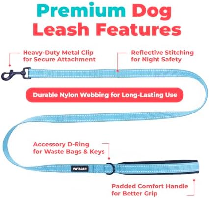 Best Pet Supplies Voyager Nylon Dog Leash - Baby Blue, Medium