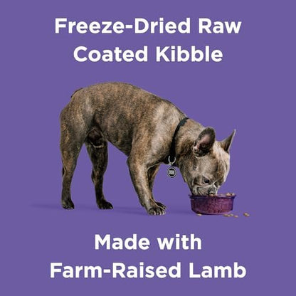 BIXBI Rawbble Freeze-Dried Raw Coated Dog Food, Lamb – Fresh Meat, No Meat Meals, Grain-Free – USA Made, 24 lbs
