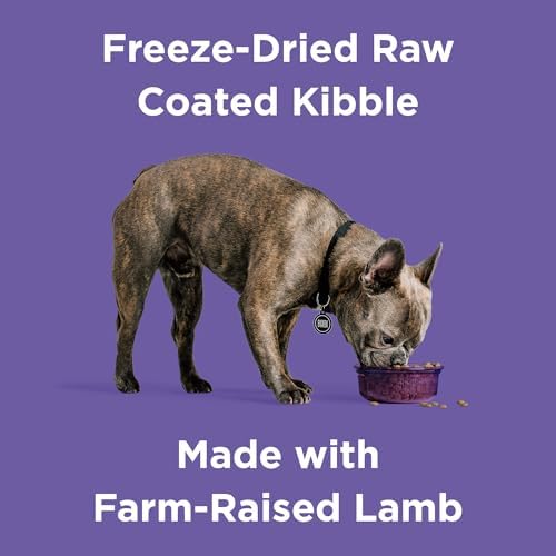 BIXBI Rawbble Freeze-Dried Raw Coated Dog Food, Lamb – Fresh Meat, No Meat Meals, Grain-Free – USA Made, 24 lbs