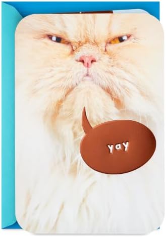 Hallmark Funny Birthday Card from Cat (This is Me Celebrating)