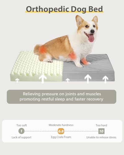 NUPIDA Orthopedic Small Dog Bed for Crate with Washable Cover, 23x17, Grey