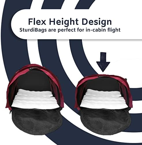 SturdiBag XL Pet Travel Carrier: Flexible Height for Cat and Dog Soft Sided with Safety Clips and Seatbelt Straps | Blue Jay, 20" x 16" x 12" (PN: SB3-BJ)