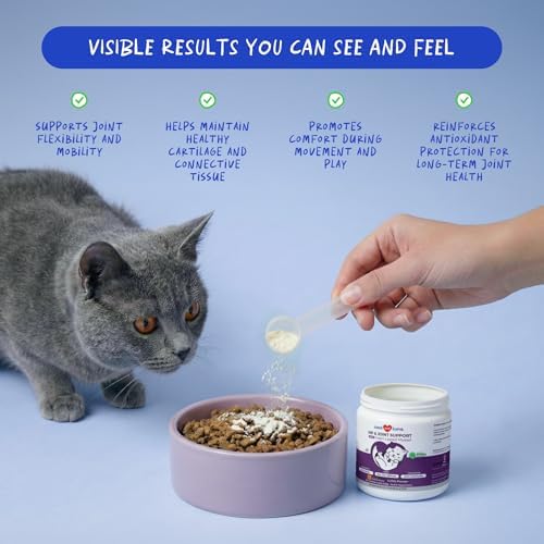 Hip & Joint Powder for Cats - Glucosamine, MSM & Green Lipped Mussel