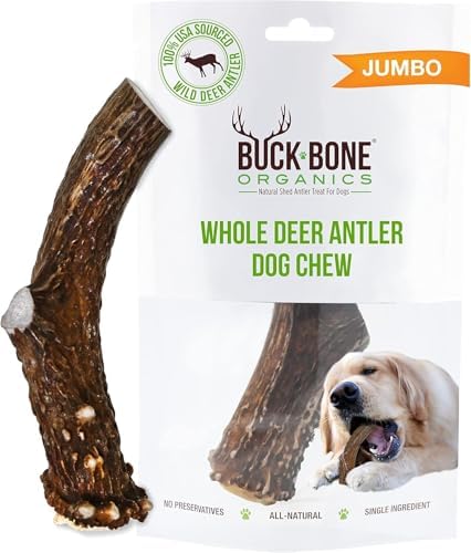 Buck Bone Organics Dog Chews, Deer Antlers for Dogs, Long Lasting Dog Bones for Aggressive Chewers, All Natural, No Preservatives, Wild Shed in the USA Large