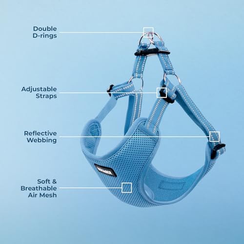Voyager Step-in Flex Adjustable Dog Harness - Baby Blue, X-Small