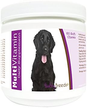 Healthy Breeds Flat Coated Retriever Multi-Vitamin Soft Chews 60 Count (1127-fcre-001)