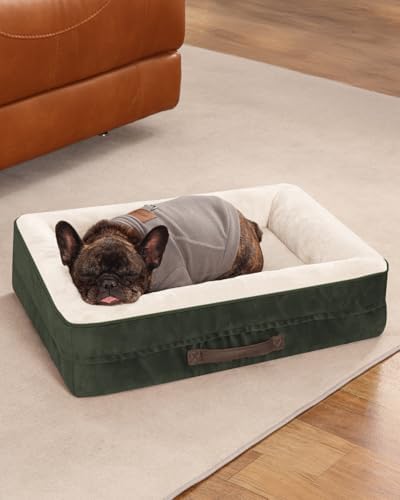 Upvilla Orthopedic Dog Bed, Four-Sided Small Dog Sofa, Washable Cover Green