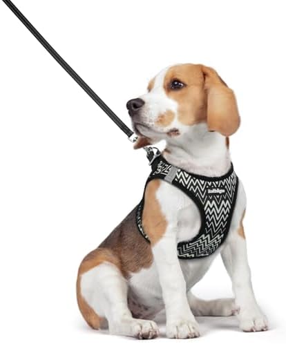 rabbitgoo Dog Harness Medium Sized and Leash Set, Step-in Puppy Pet Vest