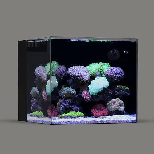 LANDEN EzFlux 45 Rimless 20 Gallon Rear Filtration Tank, Pump Included