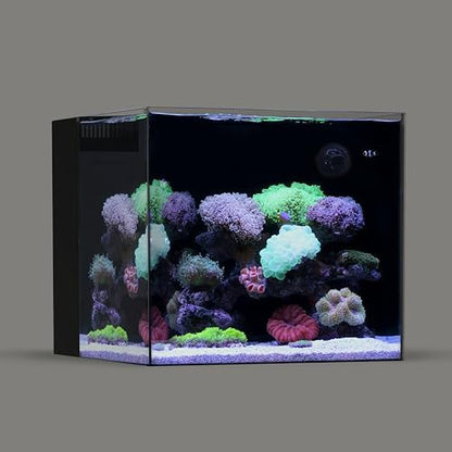 LANDEN EzFlux 45 Rimless 20 Gallon Rear Filtration Tank, Pump Included