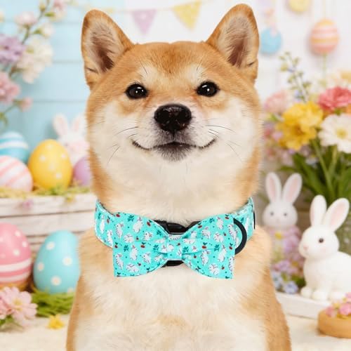 Dog Collars, Easter White Rabbit Print Blue Cotton Collar Holiday Adjustable Light Plastic Buckle Collar with Bow Pet Collar Gift for X-Small Dogs