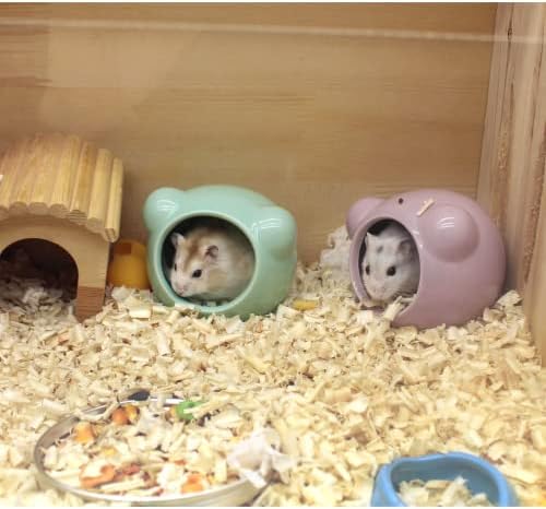 Ceramic Hamster House, Cute Animal Shaped Hamster Cave, Summer Cool Small Animal Hideout Habitat Decor for Dwarf Hamsters (Green)