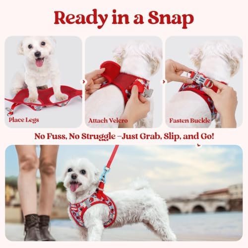 rabbitgoo Dog Harness Medium Sized and Leash Set, Step-in Puppy Pet Vest