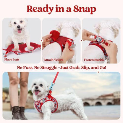 rabbitgoo Dog Harness Medium Sized and Leash Set, Step-in Puppy Pet Vest