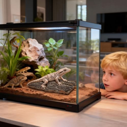 Reptile Bark Decor 2 pcs Natural Tree Bark for Terrarium Hideout and Climbing Surface for Lizards Geckos Snakes 7.67 X 5.82 X 0.39 in