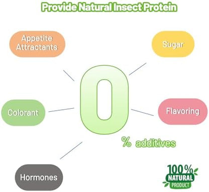 Gecko Food Insect Puree, Silkworm Paste Reptile Food Made with Fresh Insects