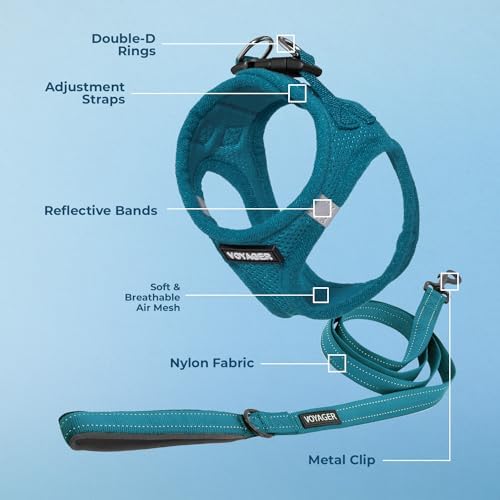 Best Pet Supplies Voyager Step-in Air All Weather Mesh Harness and Reflective Dog 5ft Leash Combo with Neoprene Handle, for Small, Medium and Large Breed Puppies - Turquoise, Small