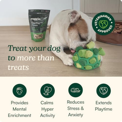 Reggie Snuffle Ball for Dogs | Interactive Treat Dispensing Dog Enrichment Toys | Reduces Boredom, Stress & Hyperactivity | Snuffle Toys for Dogs | Durable & Washable Dog Puzzle Toy I Green